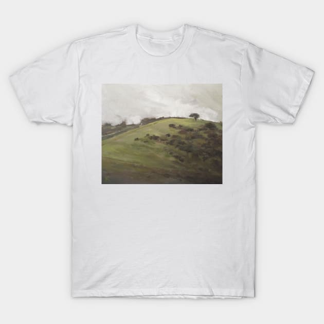 Hill Path T-Shirt by Kavatar